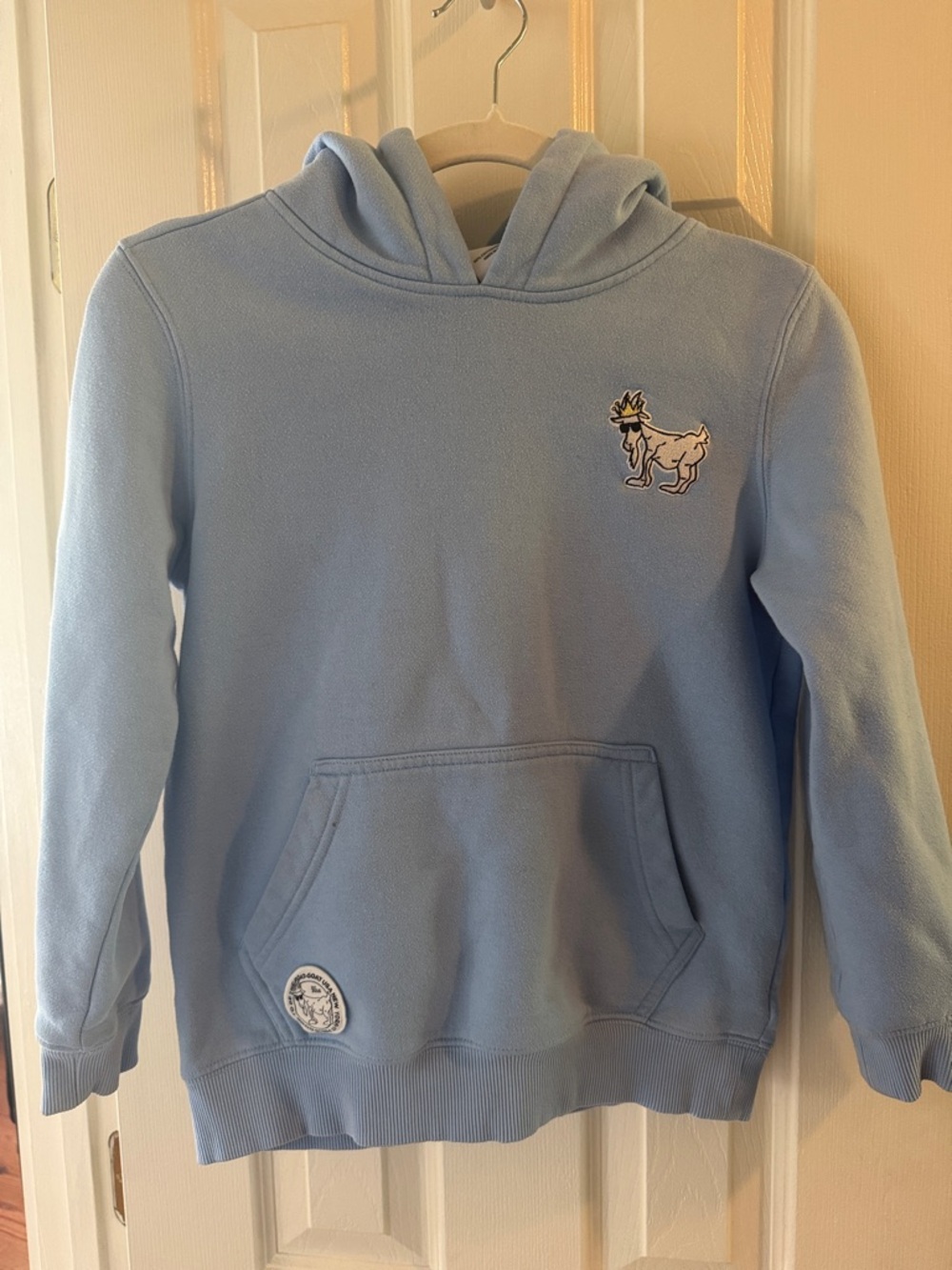 GOAT USA Youth large hoodie, Carolina blue 🐐 EUC
